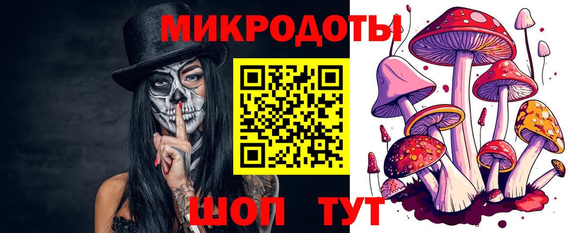 Шарыпово  Галлюциногенные грибы Magic Shrooms  Псилоцибиновые грибы прущие грибы  Вход с VPN 
